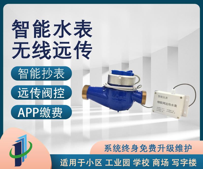 水表；單流非閥控；